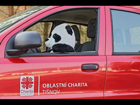 Náhled pro video reference