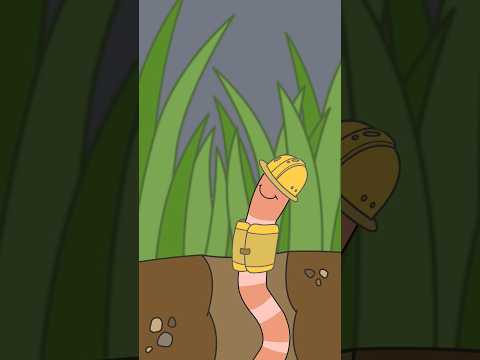 Rudi Regenwurm und die Badewanne | Sing #Kinderlieder #Shorts