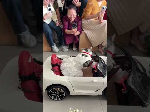 This Owner Got a Wedding Surprise 😍❤️