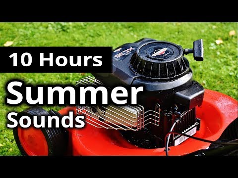 Sounds of SUMMER ★ 10 Hours AMBIENCE for Relaxing, Sleep, Meditation and CREATIVITY