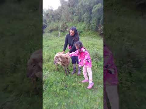 De Paseo en Miraflores Boyaca