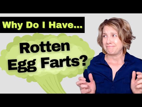 YouTube video about: Why do my dogs farts smell like rotten eggs?