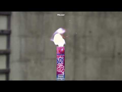 2014 / 2015 - Bengal torch gender reveal PINK & BLUE | F1