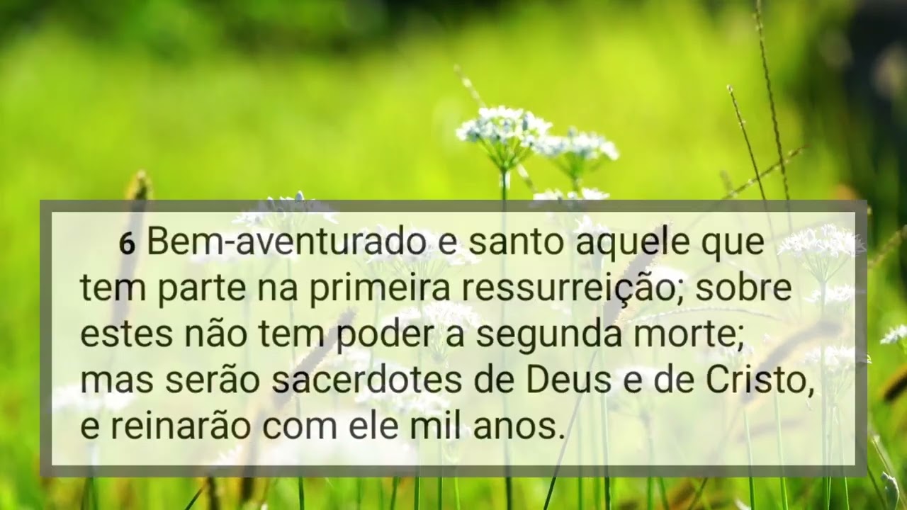 Leitura bíblica,  Apocalipse 20, 1-15 Compartilhem a palavra de Deus.