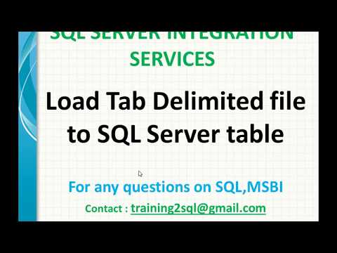 Load Tab Delimited file to SQL Server table in SSIS