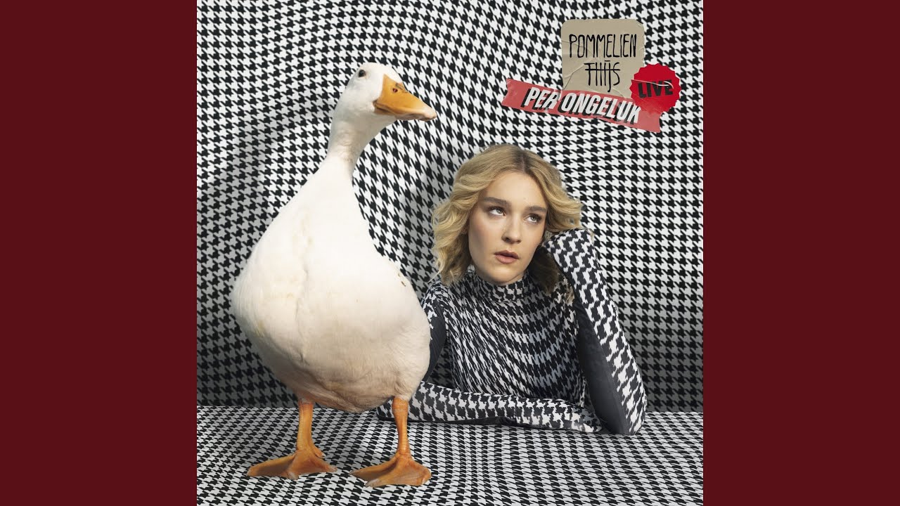 Wanneer (Live uit PAARD)