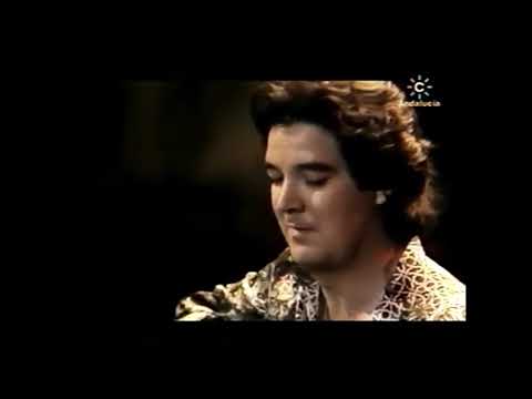 Rafael Riqueni en Canal Sur TV 1993, "Bulerías"