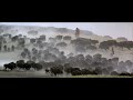 Buffalo Hunt Dances With Wolves