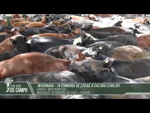 Resumen del remate de Hugo R  Aristegui - Miércoles 10 de febrero de 2021 - Cacharí