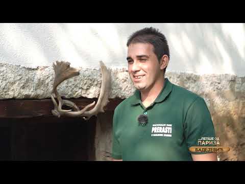 Lepše od Pariza ep. 95 24.10.2021. Domaćinstvo Bedejević, Plavna