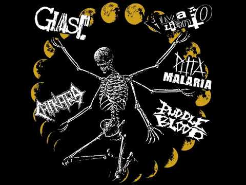 Giasc / MaL AlientO / Puta Malaria / Puddle Blood / Chikara - 5 way split [2018]