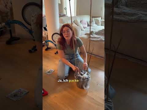 POV: du kaufst dir “kein” Lego für 650€