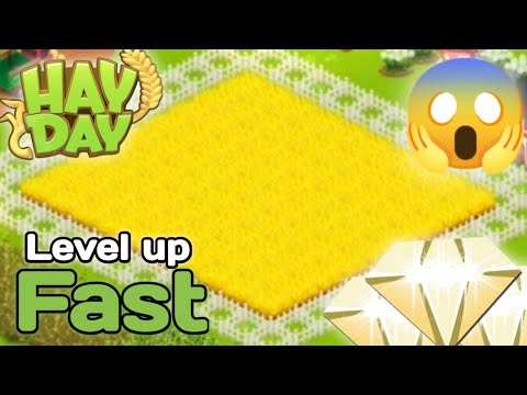 Hay Day WHEATING for 1 Hour (Full Review)