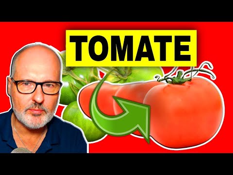 , title : '5 BENEFICIOS del TOMATE (y sus RIESGOS)'