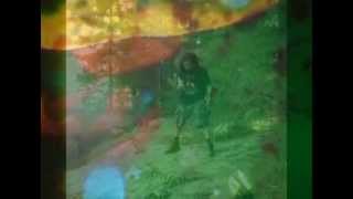 Black Lips - Boys in the Wood 1993