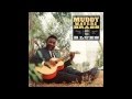 Muddy Waters "Corine, Corina" 1966