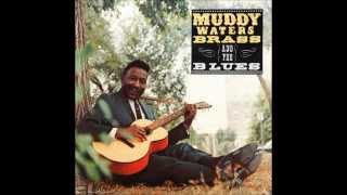 Muddy Waters "Corine, Corina" 1966