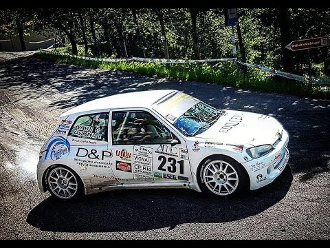 Rally Nazionale del Taro 2017 show and mistake By CORSORALLY HD