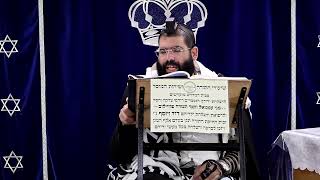 דף היומי עבודה זרה דף ס"ד ע"א ¤ הרב נתנאל אברז'ל ¤ בית הכנסת "בית מרדכי" (מוסדות תורת דוד) - התמונה מוצגת ישירות מתוך אתר האינטרנט יוטיוב. זכויות היוצרים בתמונה שייכות ליוצרה. קישור קרדיט למקור התוכן נמצא בתוך דף הסרטון