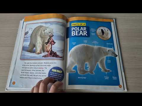 Animal Reading Books Part 18 (story book for kids)