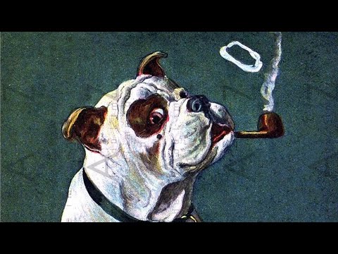 Camping rant and update.  Savinelli series III 673 with Rattray’s Old Gowrie.