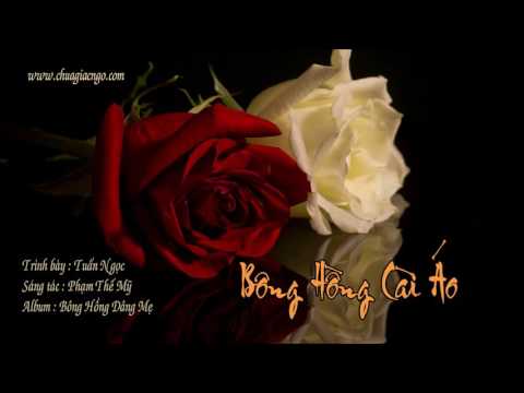 Thể hiện bởi Tuấn Ngọc