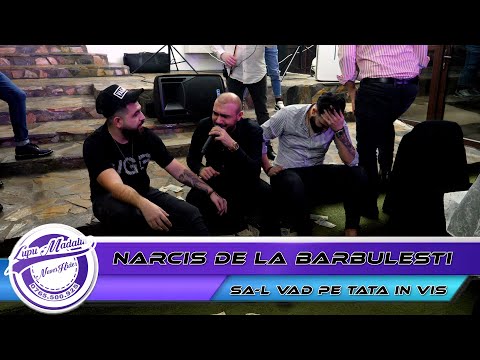 🎤Narcis de la Barbulesti - Sa-l vad pe tata in vis by 👍🏻NeverHideEvents🔔