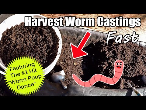 Quick & Easy Way To Harvest / Separate Worm Castings From The Worms