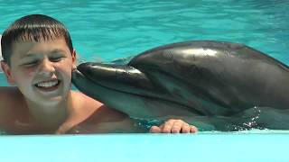 «Любов і щастя»: як у Харкові дельфіни дитячі душі лікували