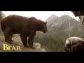 The Bear 1988
