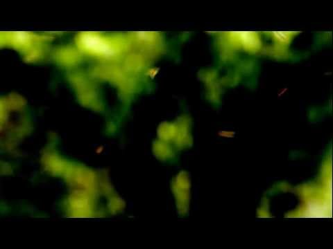 ÓCIO - "Overmedicated"