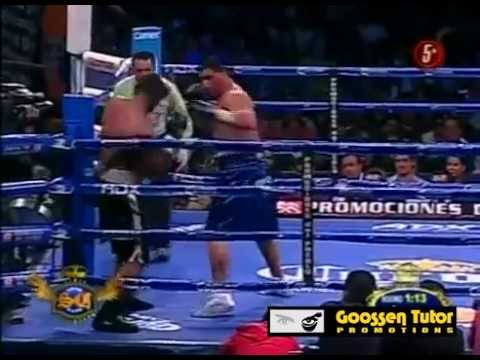 Chris Arreola vs Rafael Butler TKO "Full Fight"