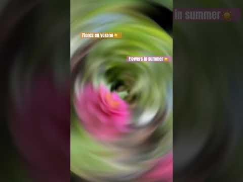 Flores al final de verano☀️