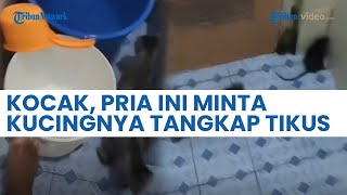 Lucunya Anabul Disuruh Pemiliknya Untuk Tangkap Tikus di Kamar Mandi, Hal Tak Terduga Malah Terjadi!