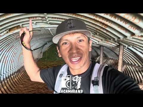 Exploración Minera en Cerro Colorado: ¿Qué Pasó en la Comarca Ngäbe-Buglé?