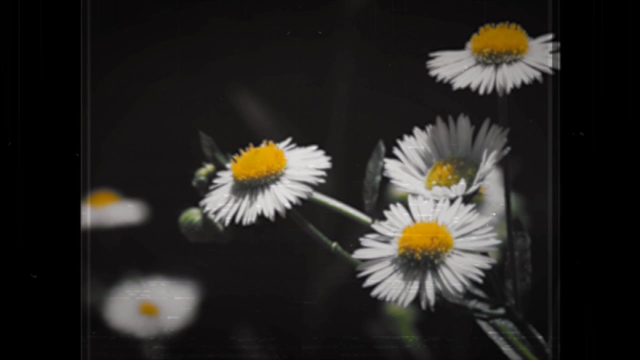 再生 / HACHI.cover 【歌ってみた】