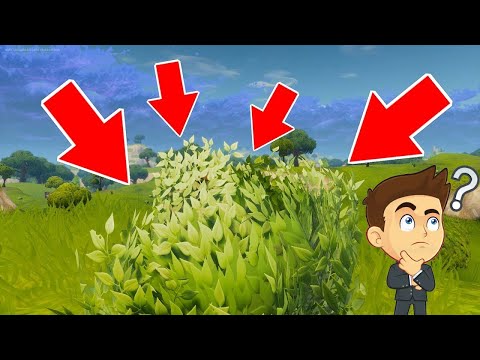 2 Noobs VS 1 Pro (Hide And Seak) f.t. JmwReaper