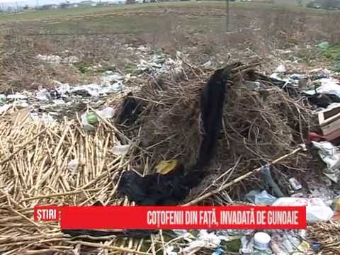 Coțofenii din Față, invadată de gunoaie
