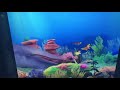 Wonder Pets Get Swallowed By A Whale