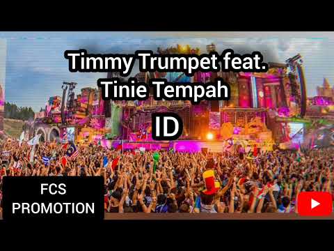 Timmy Trumpet ft. Tinie Tempah - ID (preview)