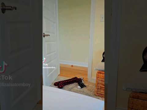 You should probably run..Dobby & Vince #Megan