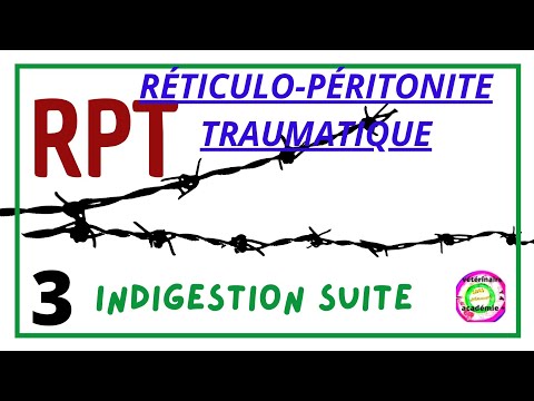 , title : 'Réticulo-péritonite traumatique RPT partie 3  des indigestions Chez les bovins'