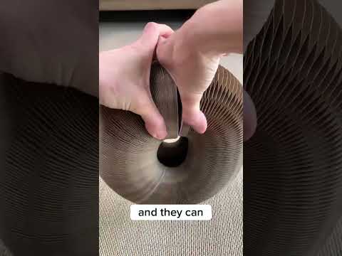 This cat toy is amazing