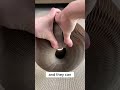 This cat toy is amazing