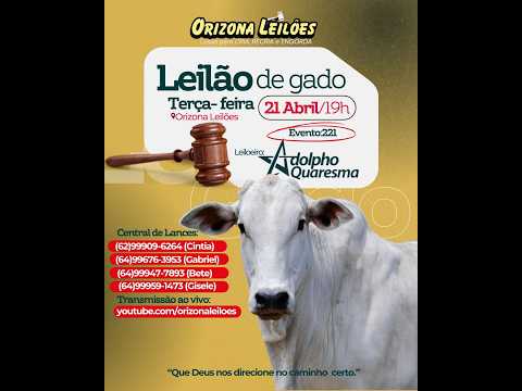 Orizona Leilões - 21/04/2026 I Leilão ao Vivo - Leilão em Goiás