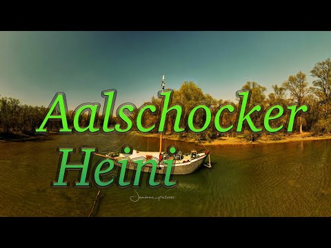 CINEMATISCHE DROHNENAUFNAHMEN von Aalschokker Heini (und Gänsen)