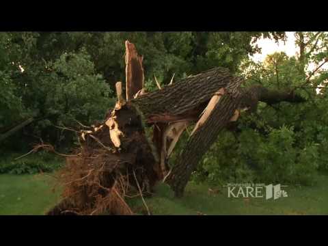 Storms leave a trail of damage across MN