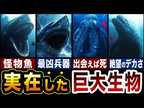 古代の海洋生物が研究者を驚かせる – 人間との「類似点に驚く」