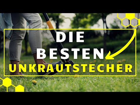 Unkrautstecher TEST - Die 3 besten Unkrautstecher im Vergleich!