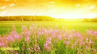 The Ray - Clean Up (청소) [Indonesia Sub]